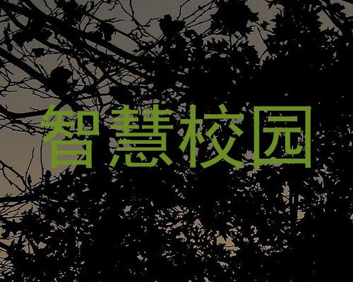 智慧校园