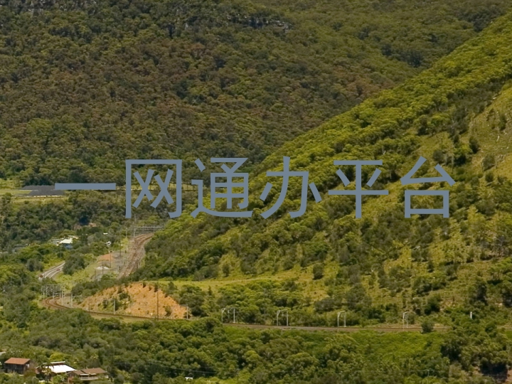 一网通办平台