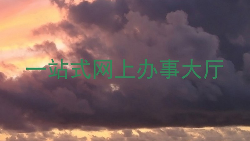 一站式网上办事大厅
