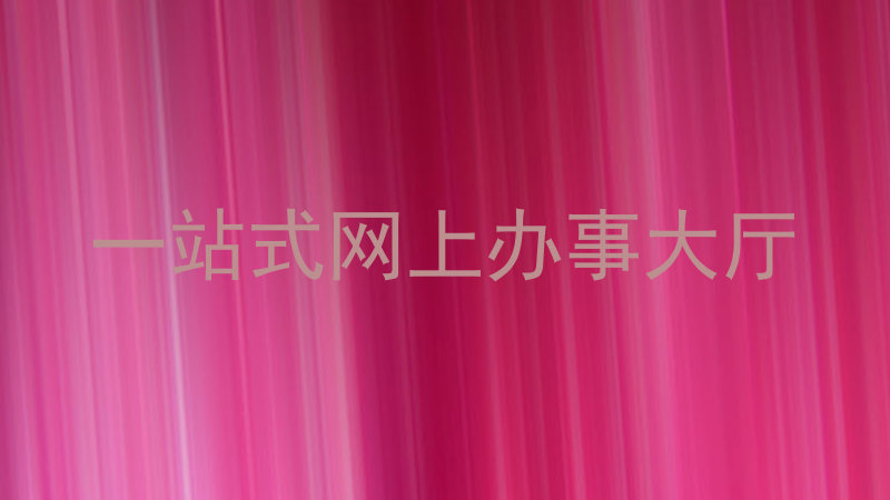 一站式网上办事大厅