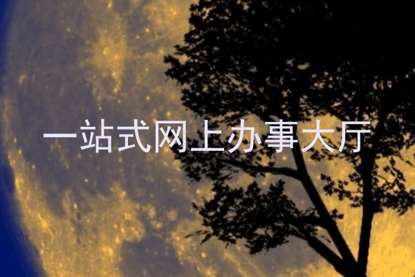 一站式网上办事大厅