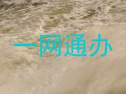 一网通办