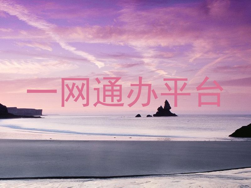 一网通办平台