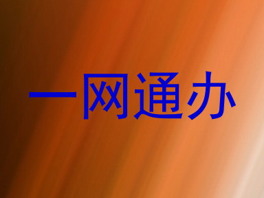 一网通办