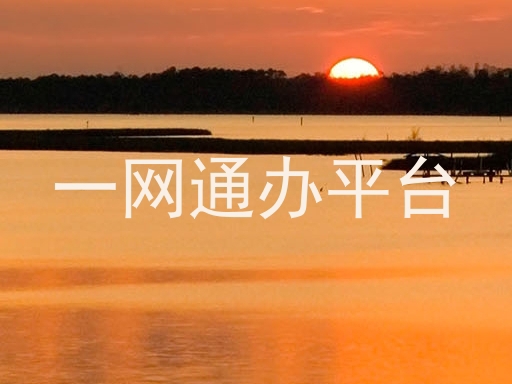 一网通办平台