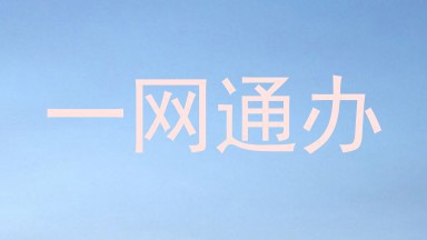 一网通办