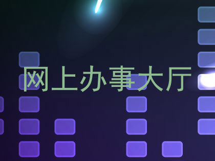 网上办事大厅