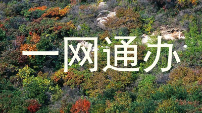 一网通办