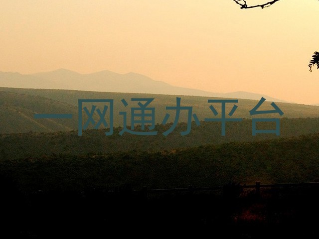 一网通办平台