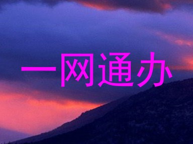 一网通办