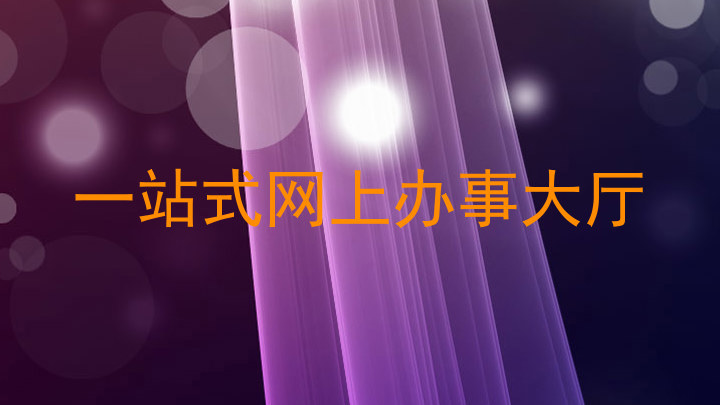 一站式网上办事大厅