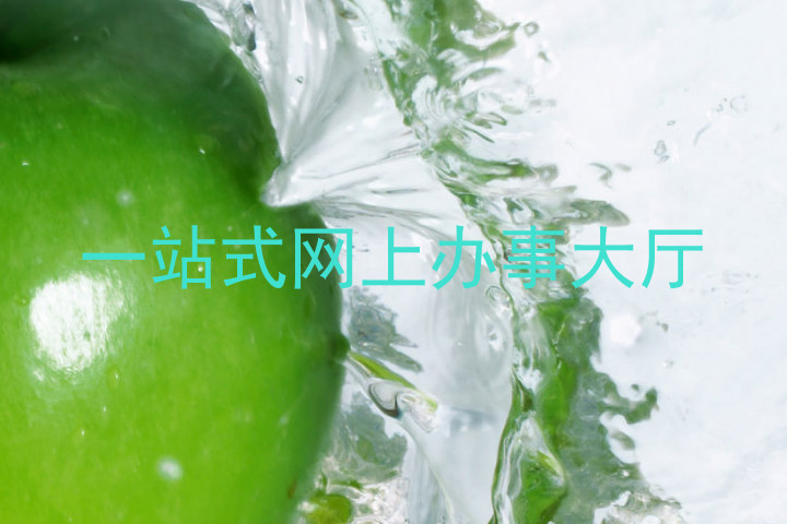 一站式网上办事大厅