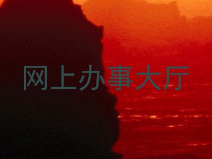 网上办事大厅