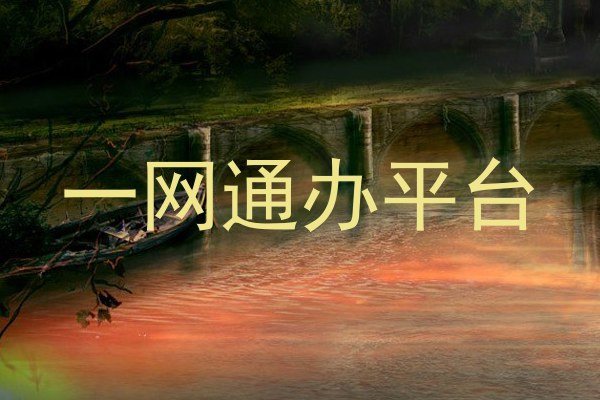 一网通办平台
