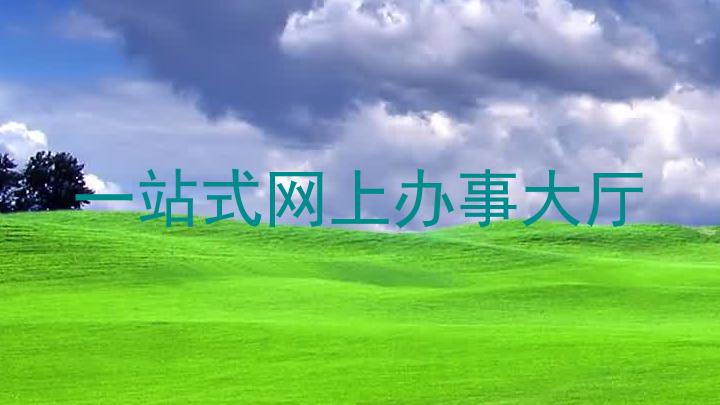 一站式网上办事大厅