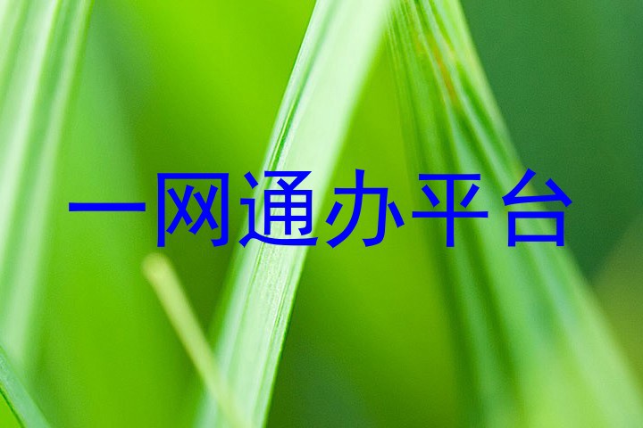 一网通办