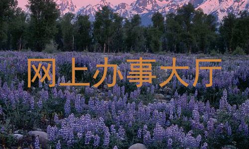 网上办事大厅