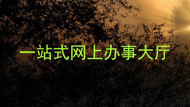 网上办事大厅