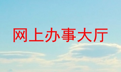 网上办事大厅