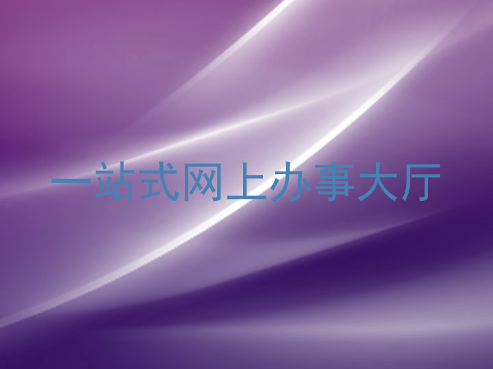 一站式网上办事大厅