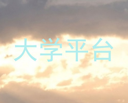 大学平台