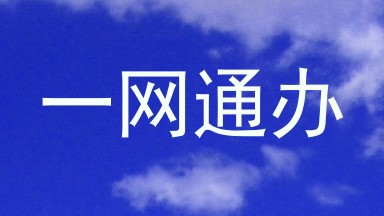 一网通办