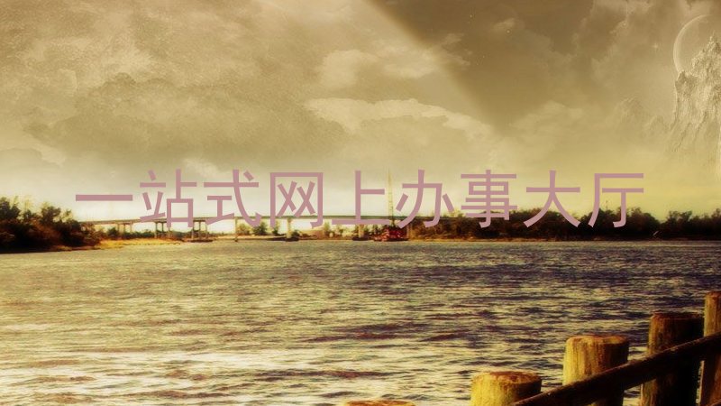 一站式网上办事大厅