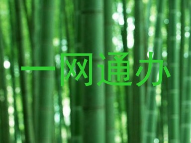 一网通办