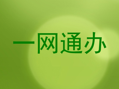 一网通办