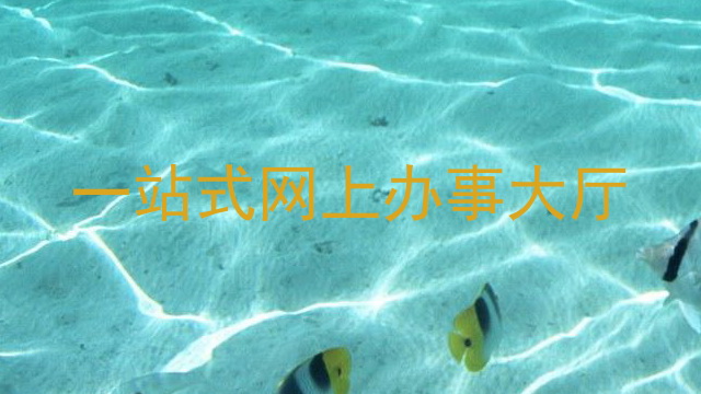一站式网上办事大厅