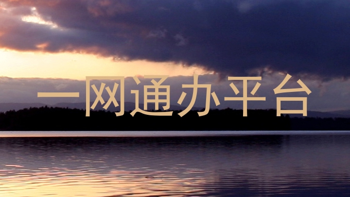 一网通办平台