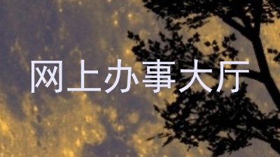 网上办事大厅