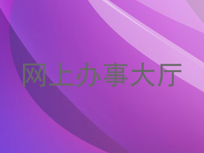 网上办事大厅