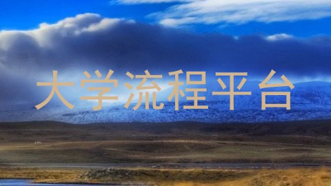 大学流程平台