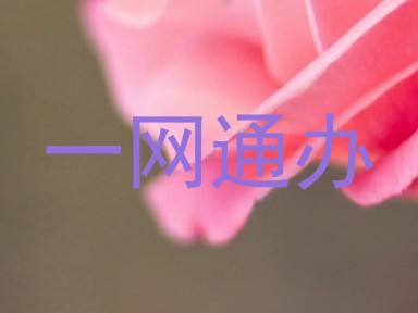 一网通办