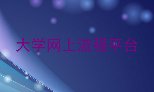 大学网上流程平台