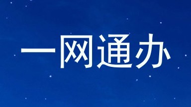 一网通办