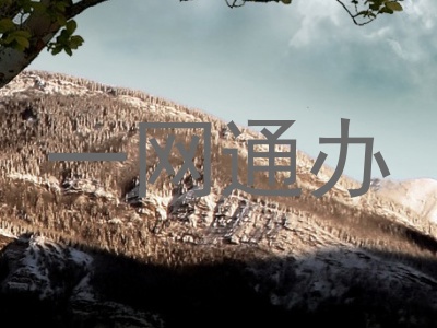 一网通办