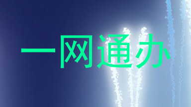 一网通办