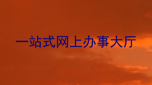 一站式网上办事大厅