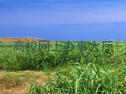 高校网上办事大厅