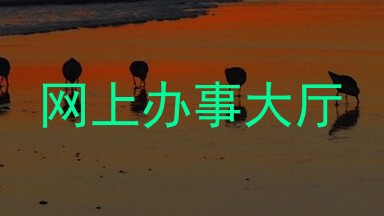 网上办事大厅