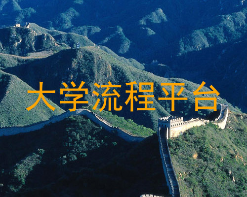 大学流程平台