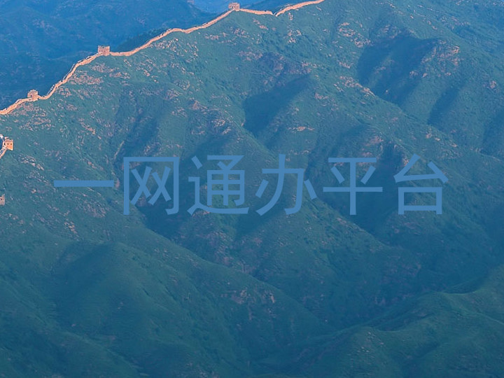 一网通办平台