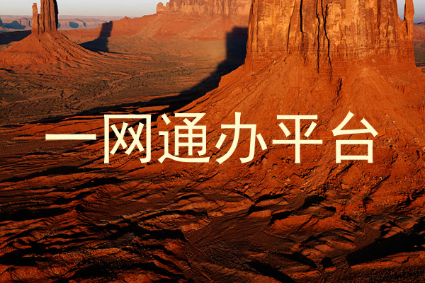 一网通办平台