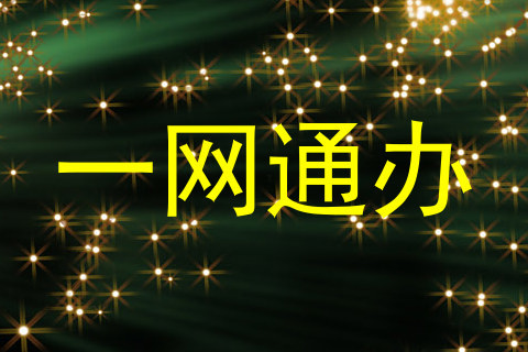 一网通办