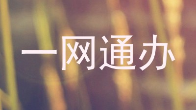 一网通办