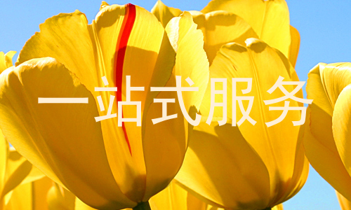 一站式服务