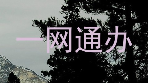 一网通办