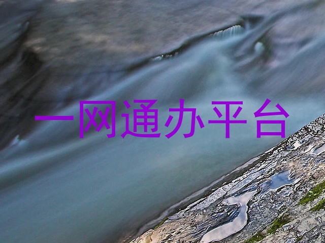 一网通办平台
